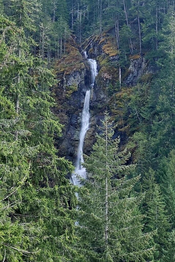 Behind the Scenes: Get (re)Going!